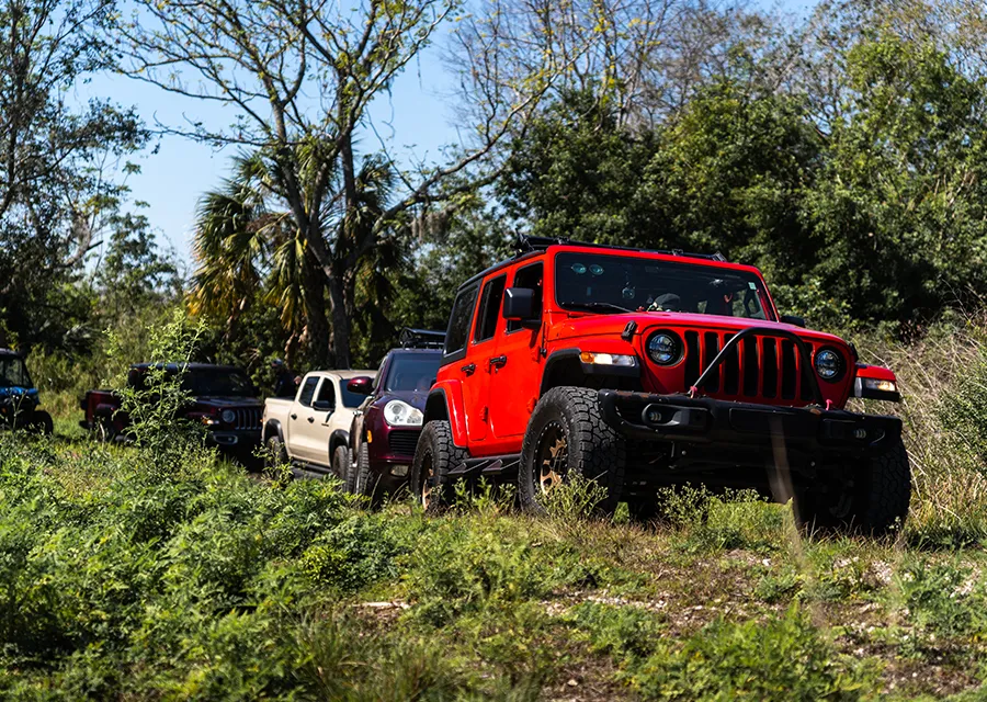 jeeps on trail